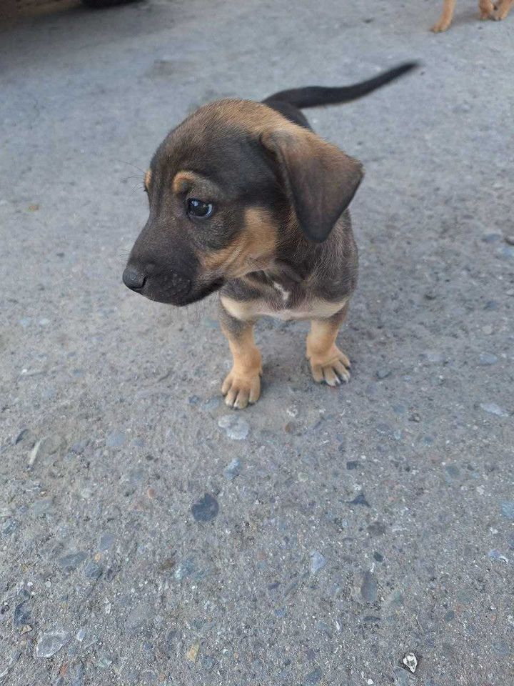 Бесплатно