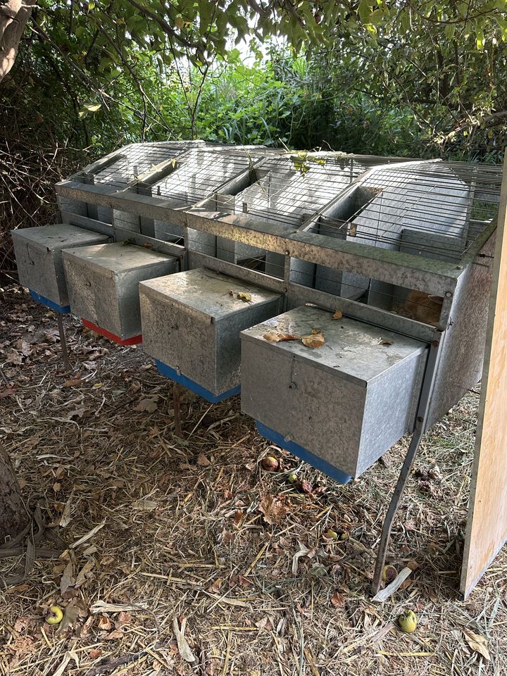 330 USD