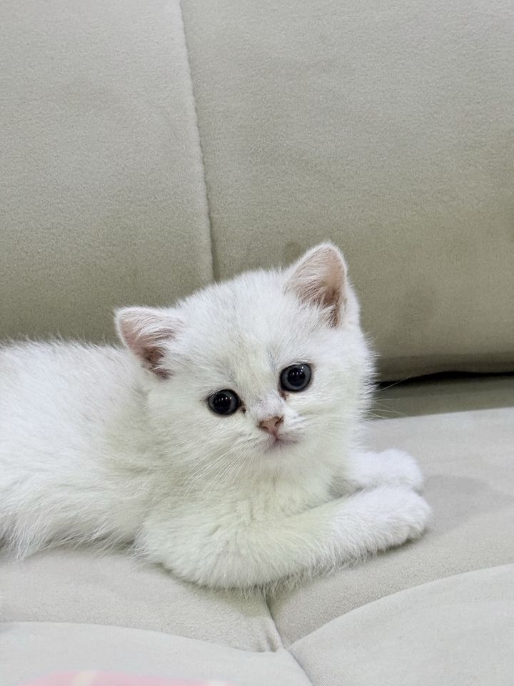 150 USD