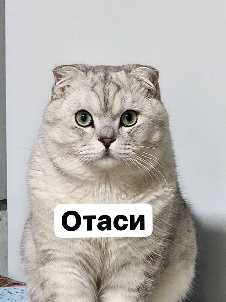50 USD