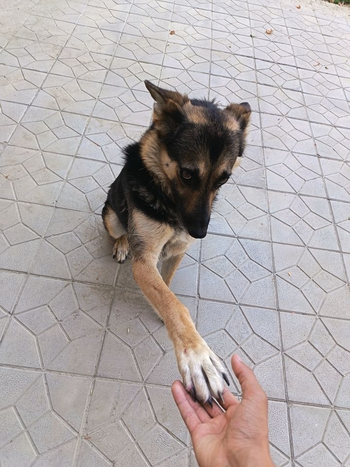 750 000 сум