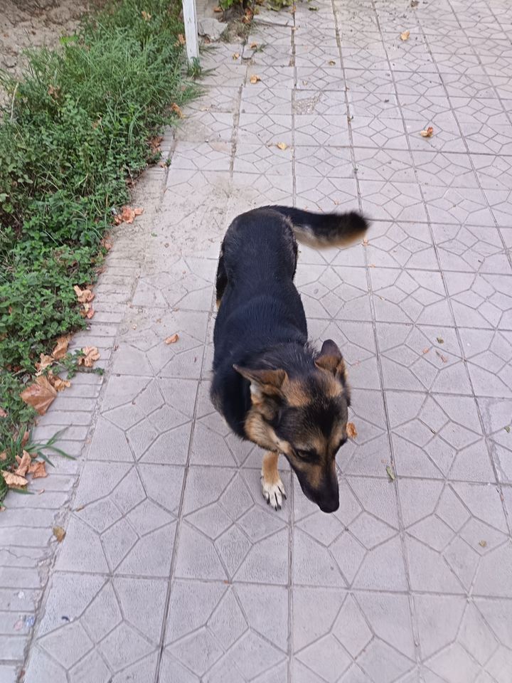 750 000 сум
