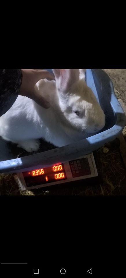 350 000 сум