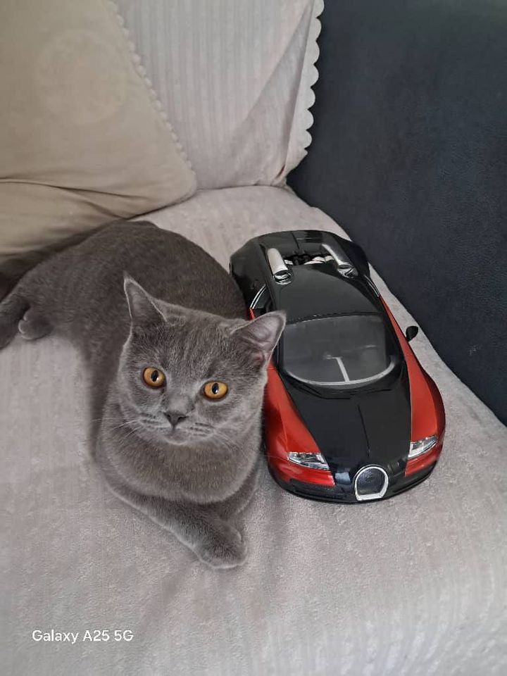 200 USD