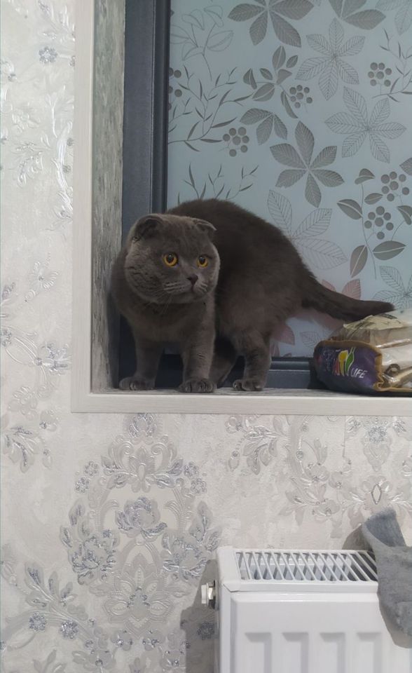 550 000 сум