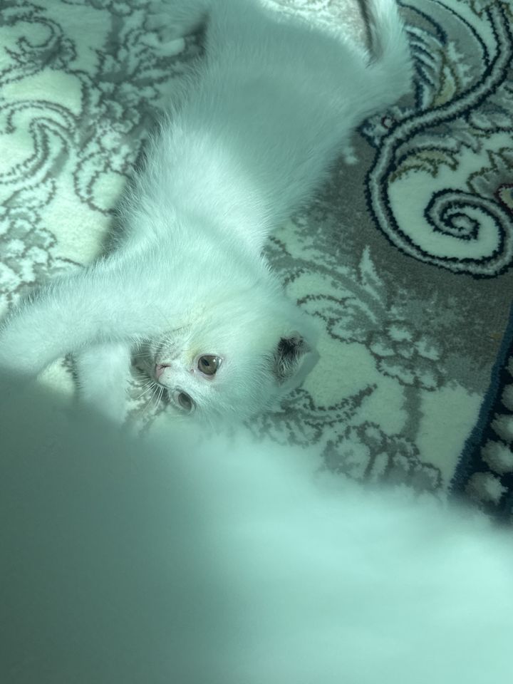 1 000 000 сум