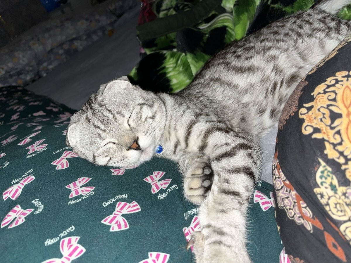 500 000 сум
