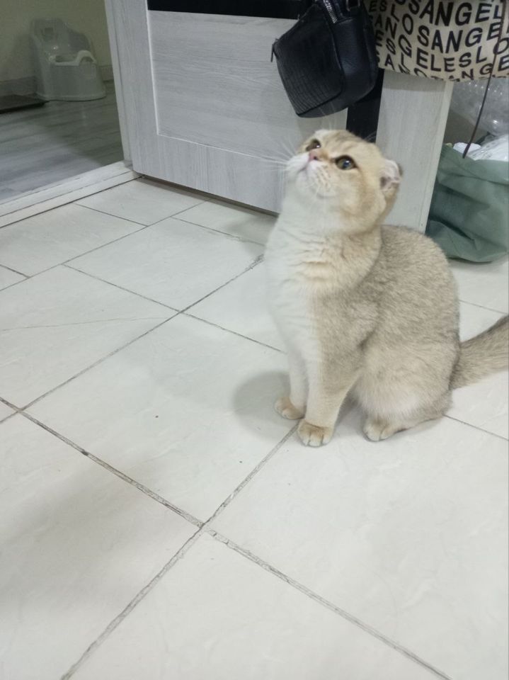 1 800 000 сум