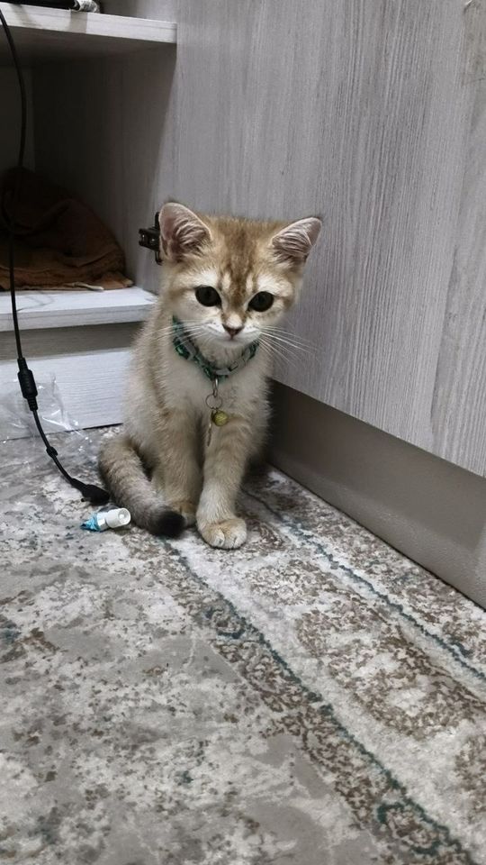 80 USD