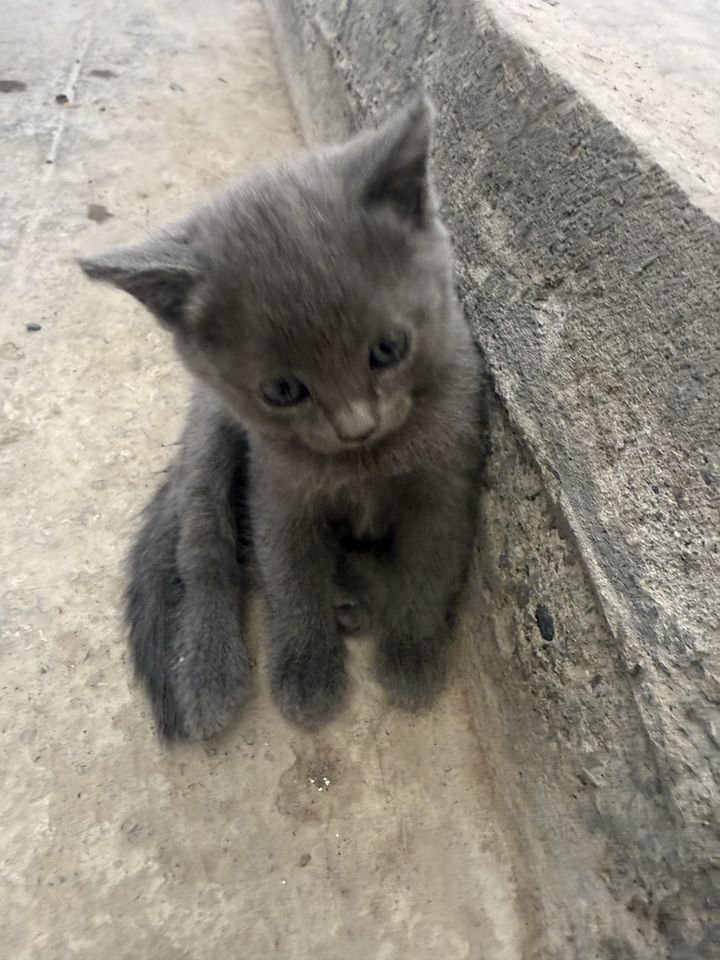 30 USD