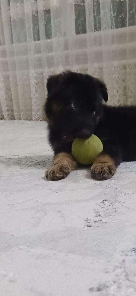 2 000 000 UZS