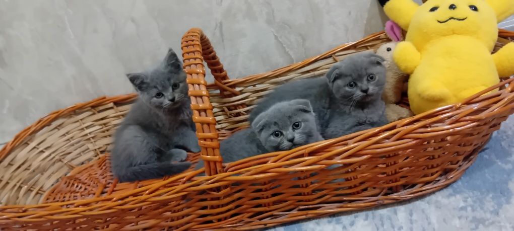 1 200 000 сум