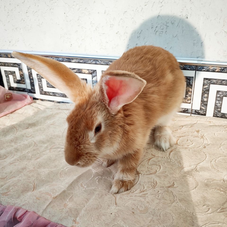 100 000 сум