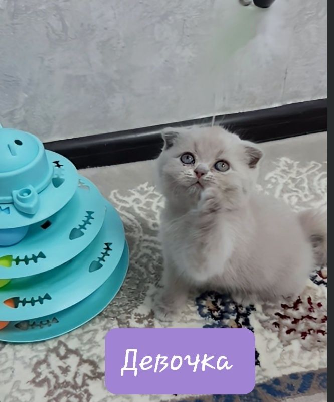 50 USD