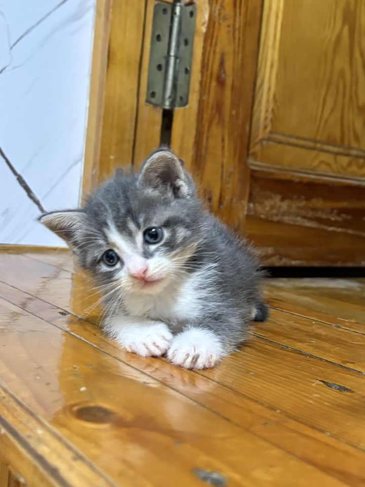 700 000 сум