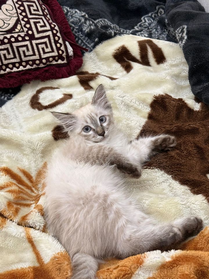 800 000 сум