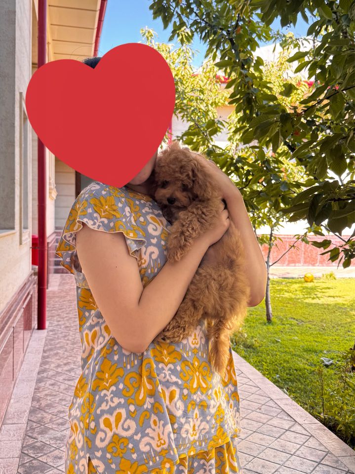 4 000 000 сум