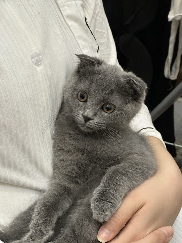 800 000 сум