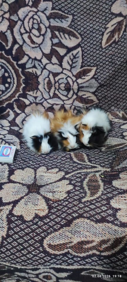 150 000 сум