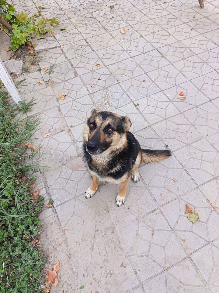 750 000 сум