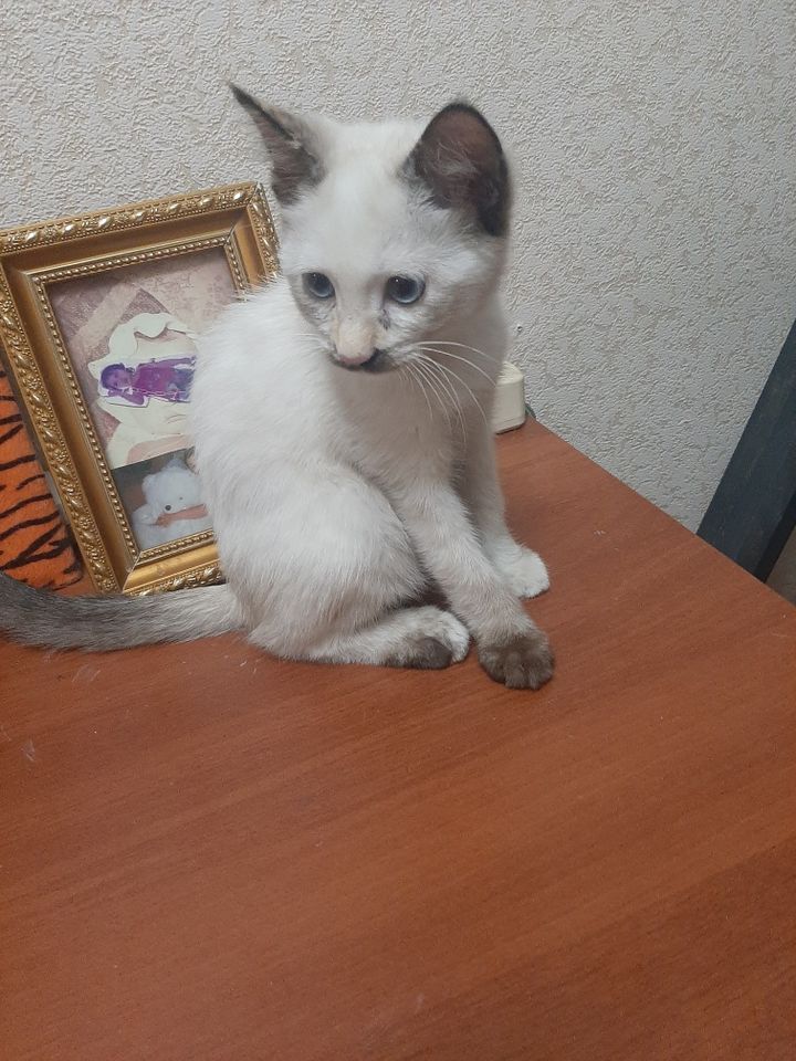 15 000 сум