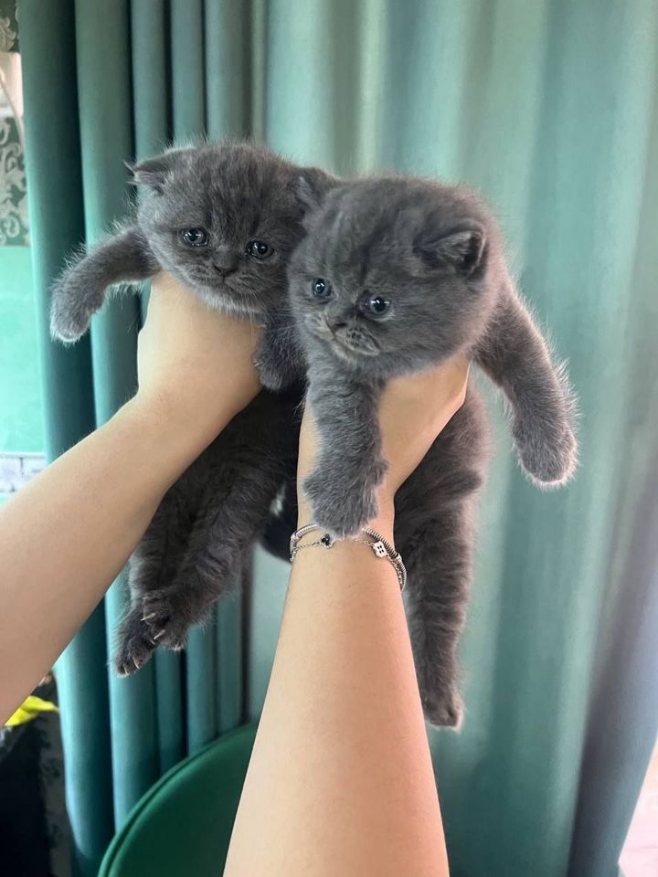 1 100 000 сум