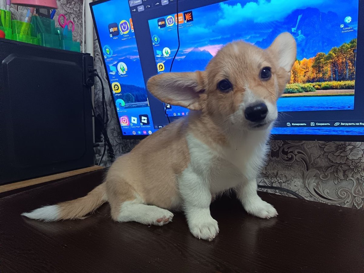350 USD