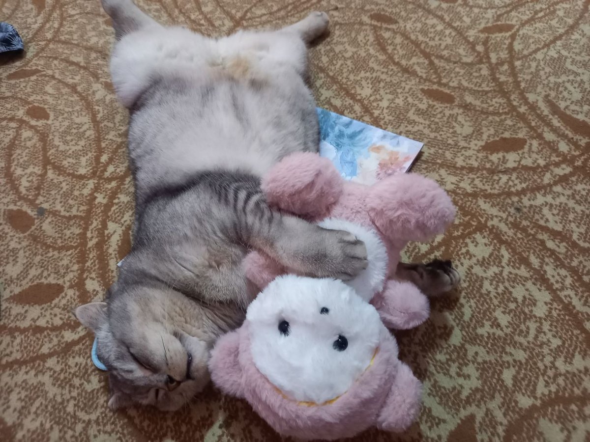 300 000 сум