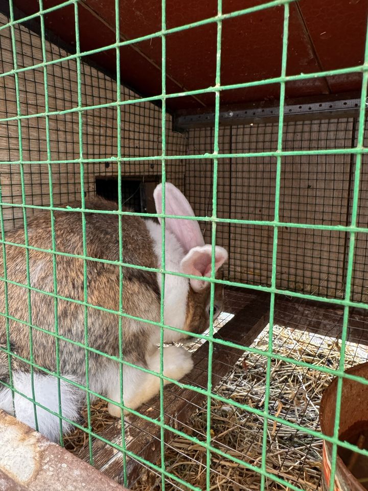 100 000 сум