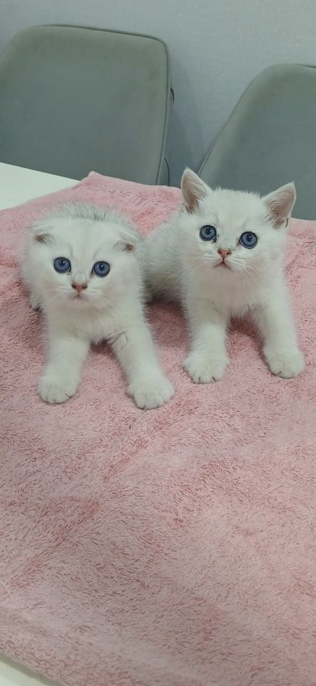 125 USD