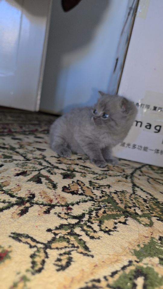 750 000 сум