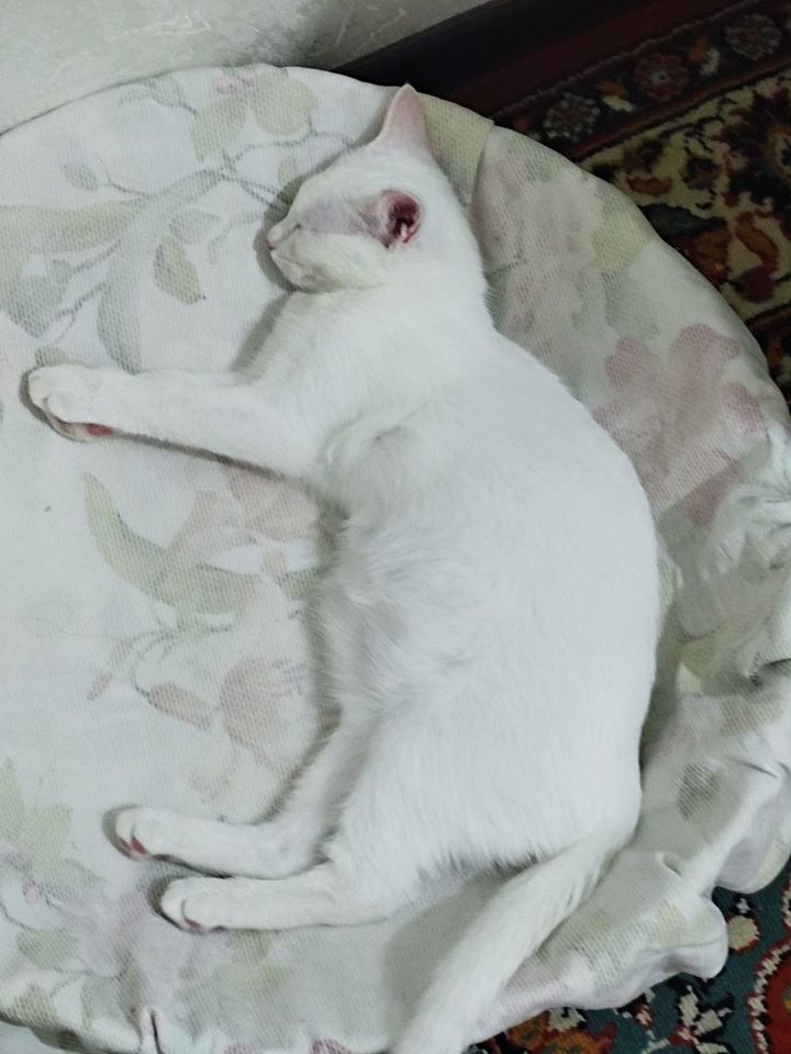 200 000 сум