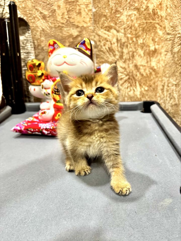 2 000 000 UZS