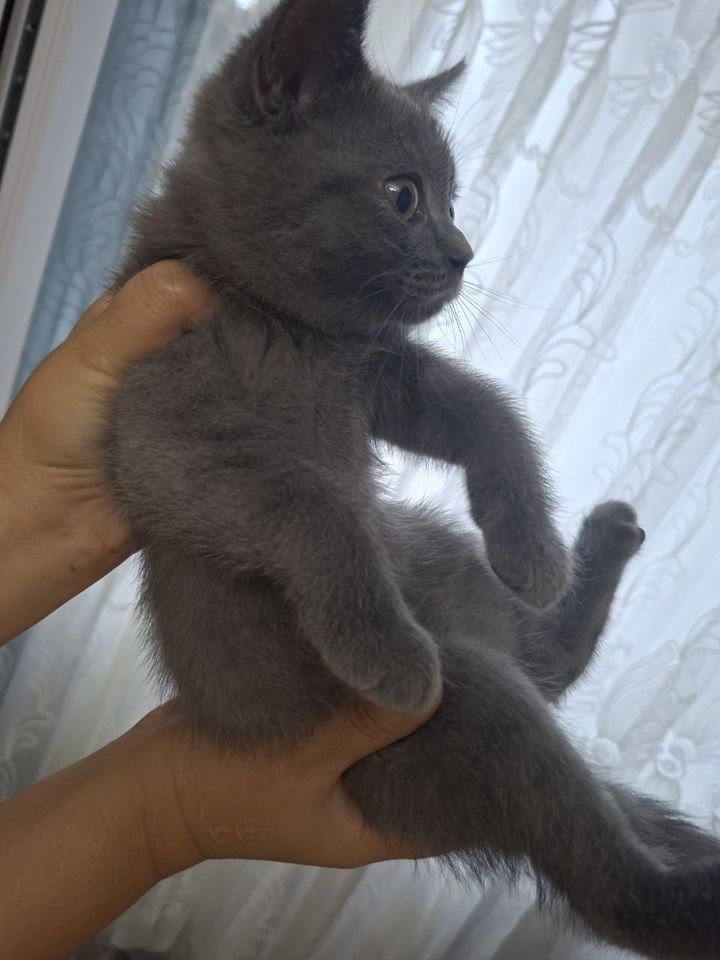 1 000 000 сум