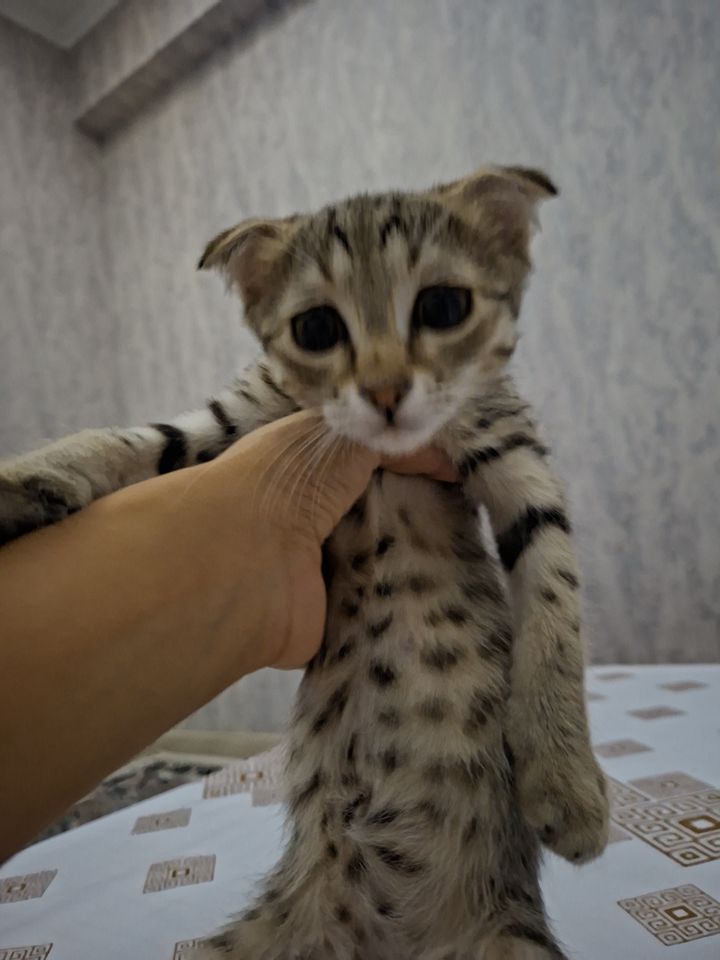150 USD