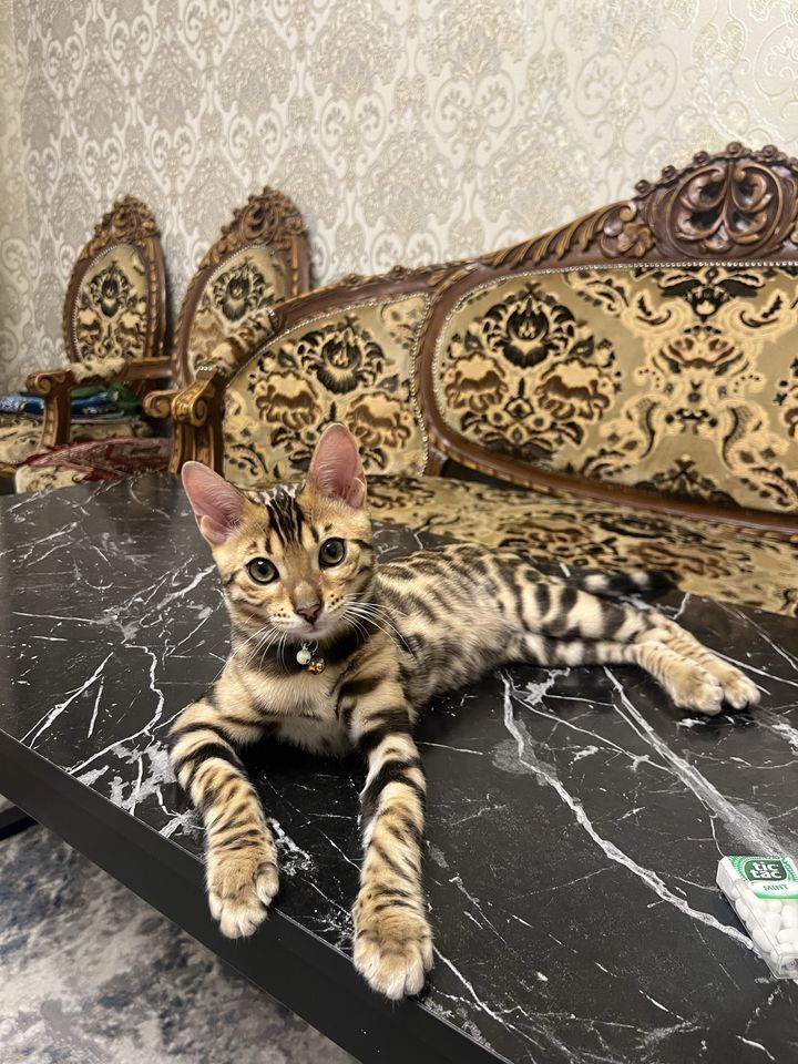 6 000 000 сум