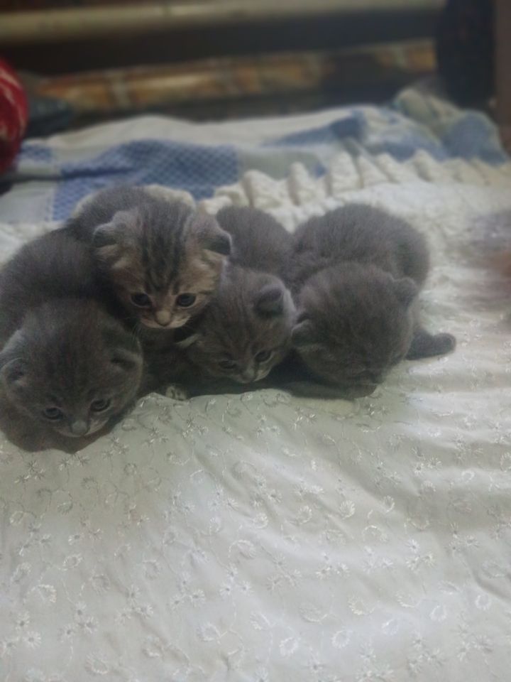 1 000 000 сум