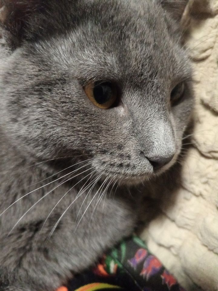 500 000 сум