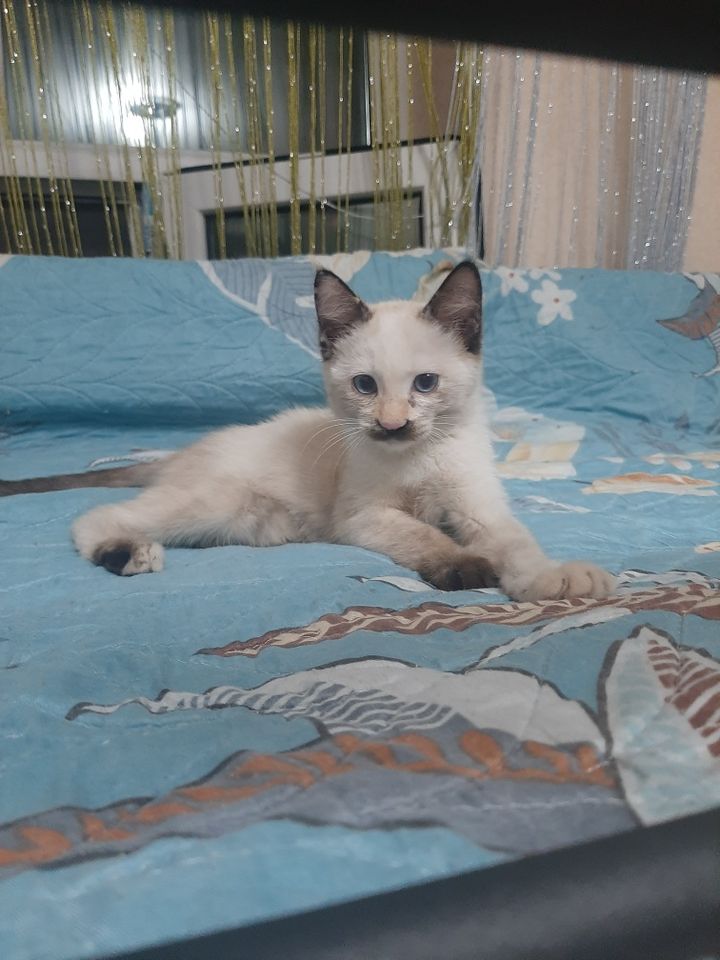 15 000 сум