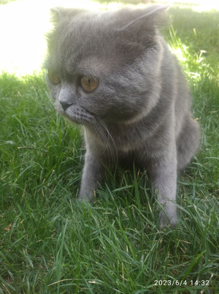1 500 000 сум