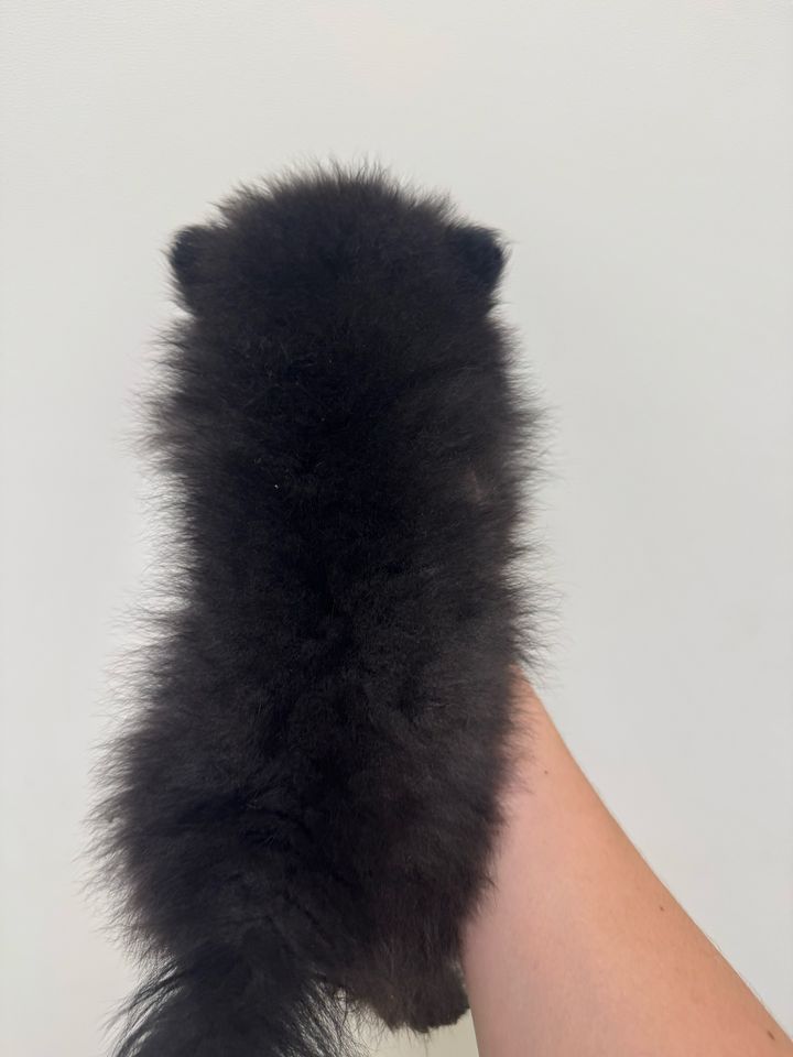 150 USD
