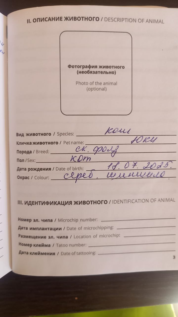 300 000 сум