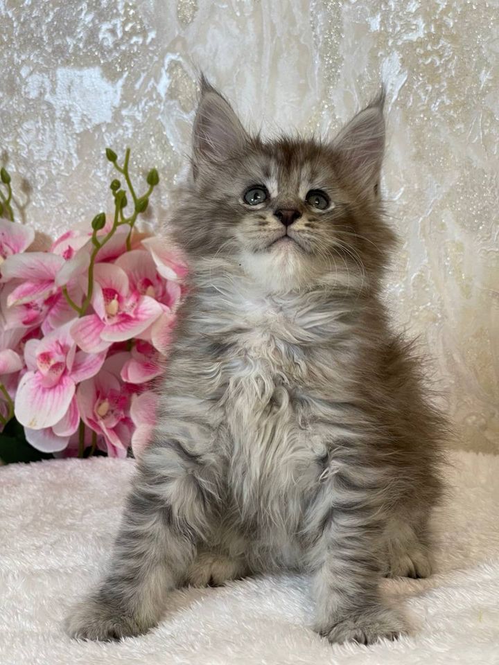 650 USD