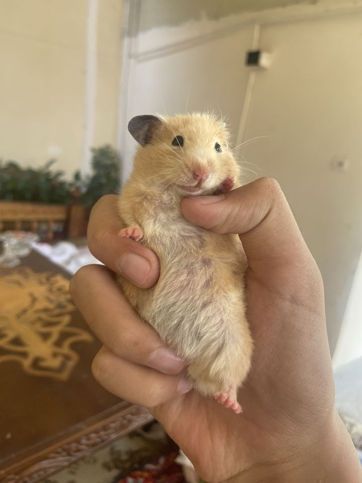 200 000 сум