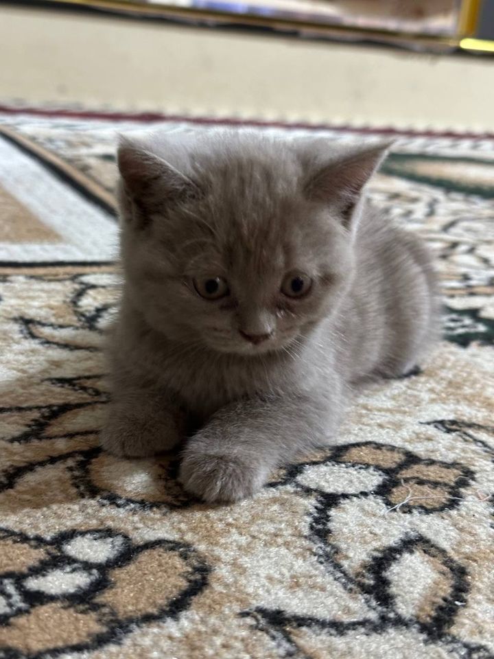 350 000 сум