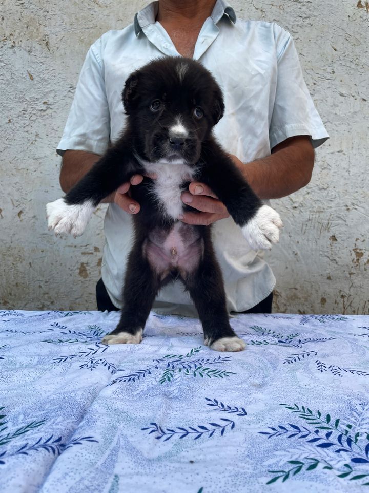 750 000 сум