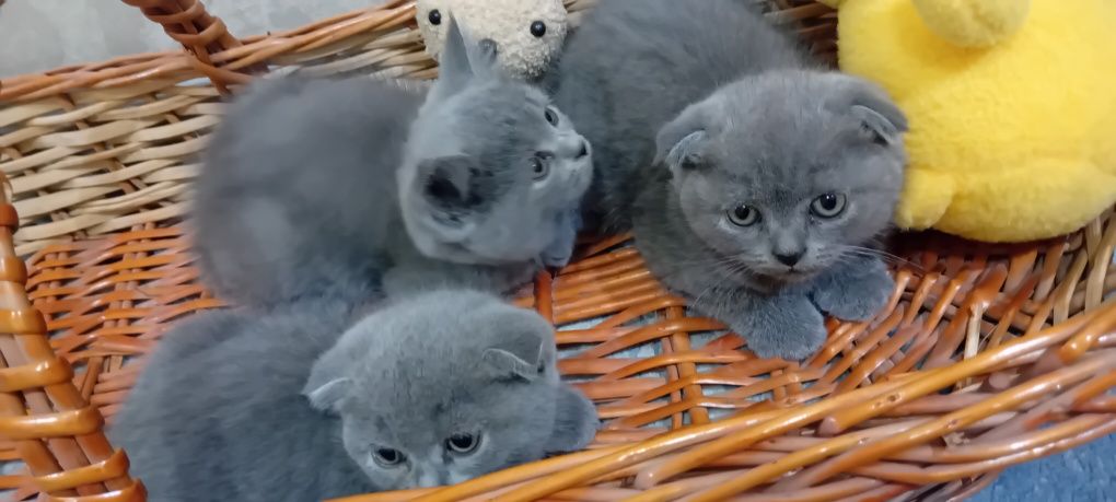 1 200 000 сум