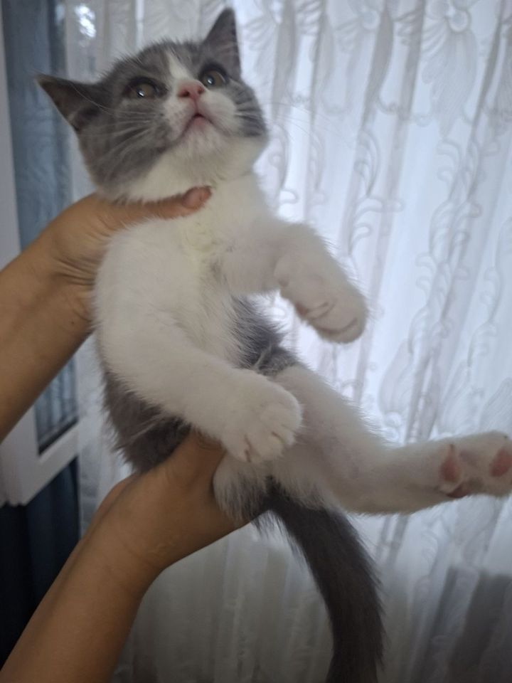 1 000 000 сум