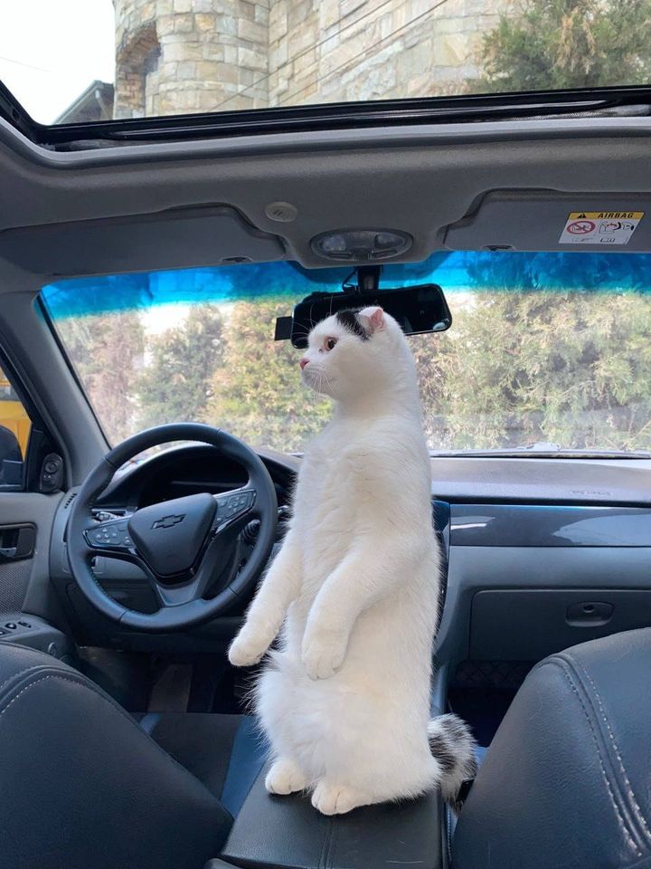 300 USD