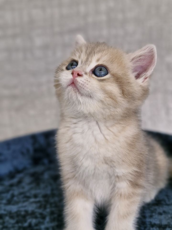 550 USD